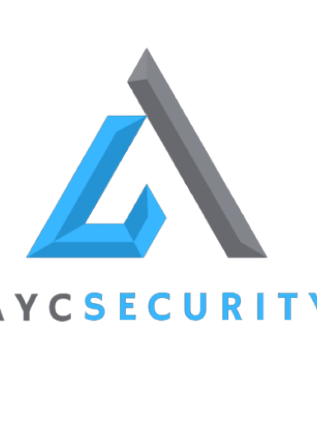 AYC Security – Empowering the Digital Horizon